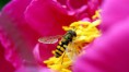 /album/fotogaleria/images-6-jpg/